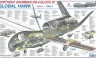 Corea del Sur compraría cuatro drones' RQ-4 Global Hawk a EE.UU