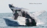 Una ballena jorobada es captada cuando voltea una pequeña embarcación [FOTOS]