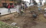 Comuna de Barranco sanciona Empresa Constructora por dañar árboles con más de 90 años de Antiguedad