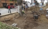 Comuna de Barranco sanciona a Empresa Constructora por dañar Árboles con más de 90 años de Antiguedad