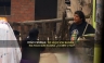 Avances en Nunca Más y Día D