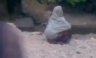 [Afganistán] Ejecución por fusilamiento de una mujer pone una vez más en evidencia la dramática situación de las mujeres