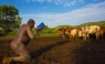 En una tribu los hombres etíopes compiten por ser el más gordo [FOTOS]