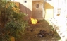 Aparecen imágenes de marines estadounidenses quemando cuerpos de insurgentes iraquíes [FOTOS]