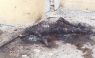 Aparecen imágenes de marines estadounidenses quemando cuerpos de insurgentes iraquíes [FOTOS]