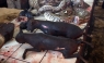 Espeluznante mercado vende perros, ratas, murciélagos y monos soasados en Indonesia [FOTOS]