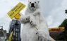 [FOTOS] Greenpeace cerró 74 estaciones de servicio de Shell en el Reino Unido