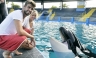 [FOTOS] Shakira le permite a una ballena asesina lamerle la mejilla