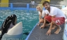 [FOTOS] Shakira le permite a una ballena asesina lamerle la mejilla