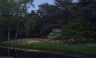 Bruce Munro presenta su jardín de flores LED