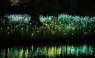 Bruce Munro presenta su jardín de flores LED