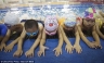[FOTOS] Gimnasio en China entrena dolorosamente a sus atletas olímpicos