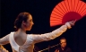 COLORES FLAMENCOS: Música y danza flamenca