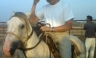 [Venezuela] Los caballos se apoderarán del Museo Alejandro Otero