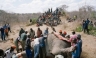 [FOTOS] La gente se come a los elefantes en Zimbabwe