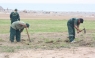 Nuevas áreas verdes para la Costa Verde en San Miguel