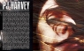 KAMIKAZE : Episodio musical con 17 canciones desgarradas de PJ Harvey