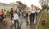 Cientos de canes participaron en maraton 'Perrotonazo 2012' de San Juan de Miraflores