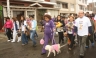 Cientos de canes participaron en maraton 'Perrotonazo 2012' de San Juan de Miraflores