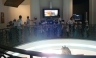 [Venezuela] Delfines, dinosaurios y satélites en el Museo de Ciencias