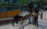 Mañana sábado de 10 de noviembre. Ccnvocatoria de Prensa: Lima Celebra el I Festival Internacional de SKA Teboarding 2012