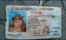 Jenni Rivera: encuentran su licencia de conducir y zapatos calcinados [FOTOS]