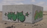 Cuatro chilenos fueron detenidos por pintar un muro en Tacna [FOTO]
