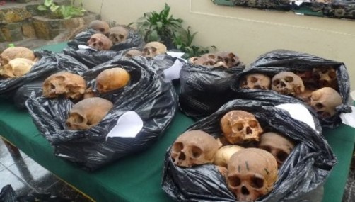 Cercado: decomisan 180 cráneos humanos