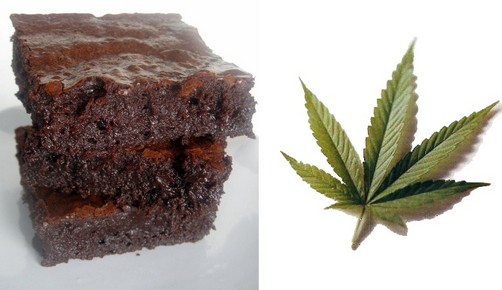 Canadá: Un jovencito horneó brownies con marihuana