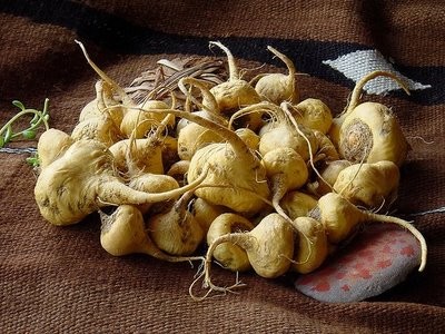 Macandean, el fino macerado de pisco con maca