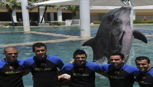 Futbolistas del FC Barcelona juegan con delfines