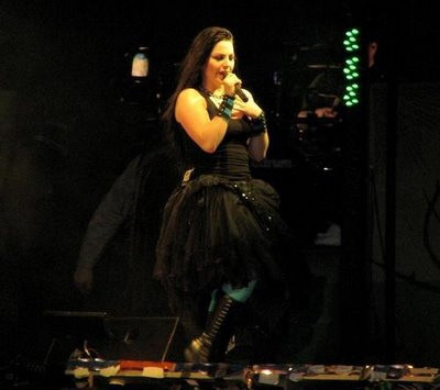 Video: Evanescence y System of a Down hicieron gozar en el Rock in Rio 2011