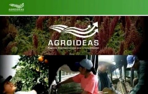 Agroideas aprobó S/.16.6 millones en planes de negocios en el año 2011