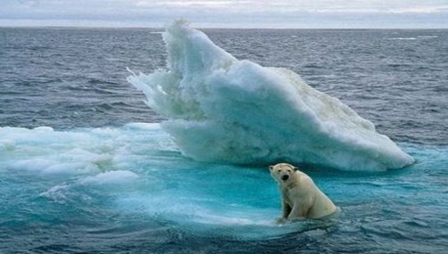 Hielo del Ártico disminuye a mínimos históricos