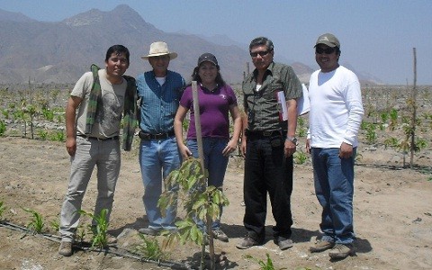 PEJEZA vendió 185 hectáreas a empresa agroindustrial DANPER