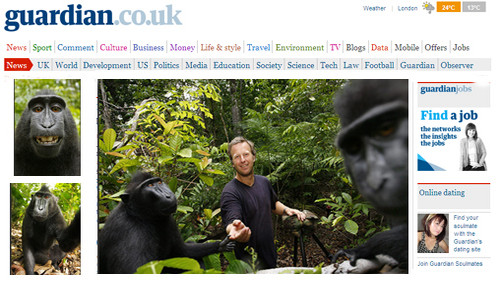Increíble: primates roban cámara y se toman fotos