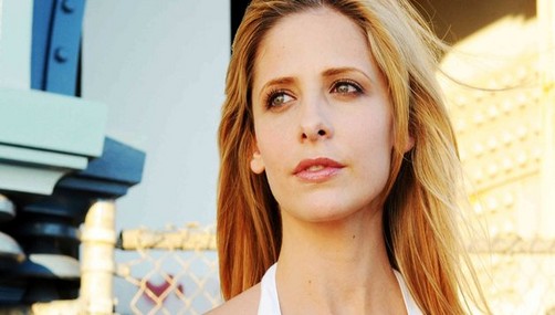 Sarah Michelle vuelve a la TV sin descuidar a su hija