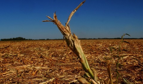 Sequías en Argentina generarían pérdidas de más de 3 mil millones de dólares