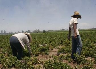 Minag amplía su presencia en el sur del país para otorgar más incentivos agrarios