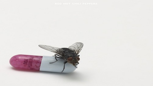 Red Hot Chili Peppers presenta la portada de su nuevo disco