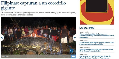 Capturan a cocodrilo de una tonelada