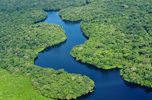 Brasil reduce niveles de defosteración de la selva amazónica