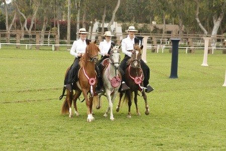 Noche de Gala del Caballo Peruano de Paso, 'Luz y Sonido'