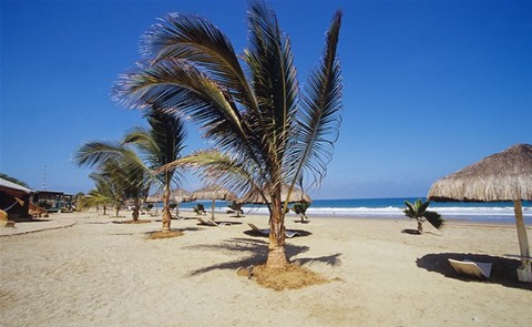 Playas de Tumbes recibirán 15 mil turistas este verano