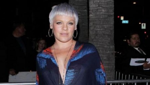 Pink intentando recuperar la figura