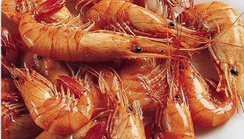 Hoy se inicia campaña 'No comas camarón, evita su extinción'