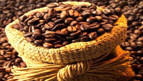 Exportadores de café buscan liderar la producción para el 2018