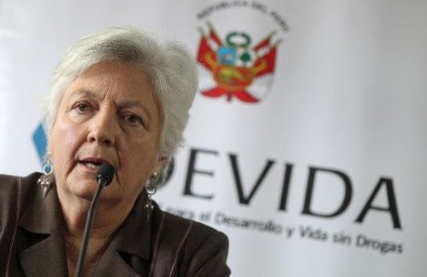 Nueva presidenta de Devida a favor de cultivos de coca