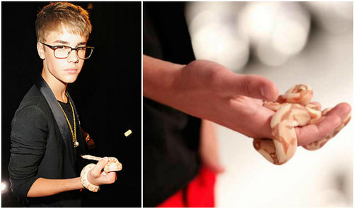 Justin Bieber subasta su serpiente