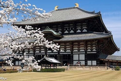 Japón: Preparan ceremonia de recordación a víctimas de terremoto